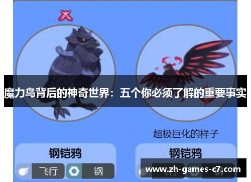 魔力鸟背后的神奇世界：五个你必须了解的重要事实